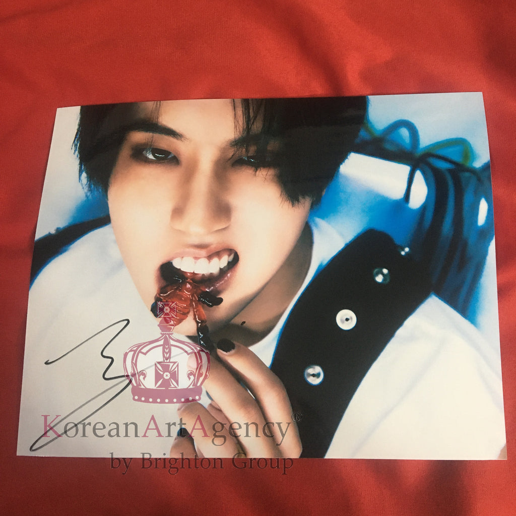 Stray Kids Han 10inches Autograph – Autograph