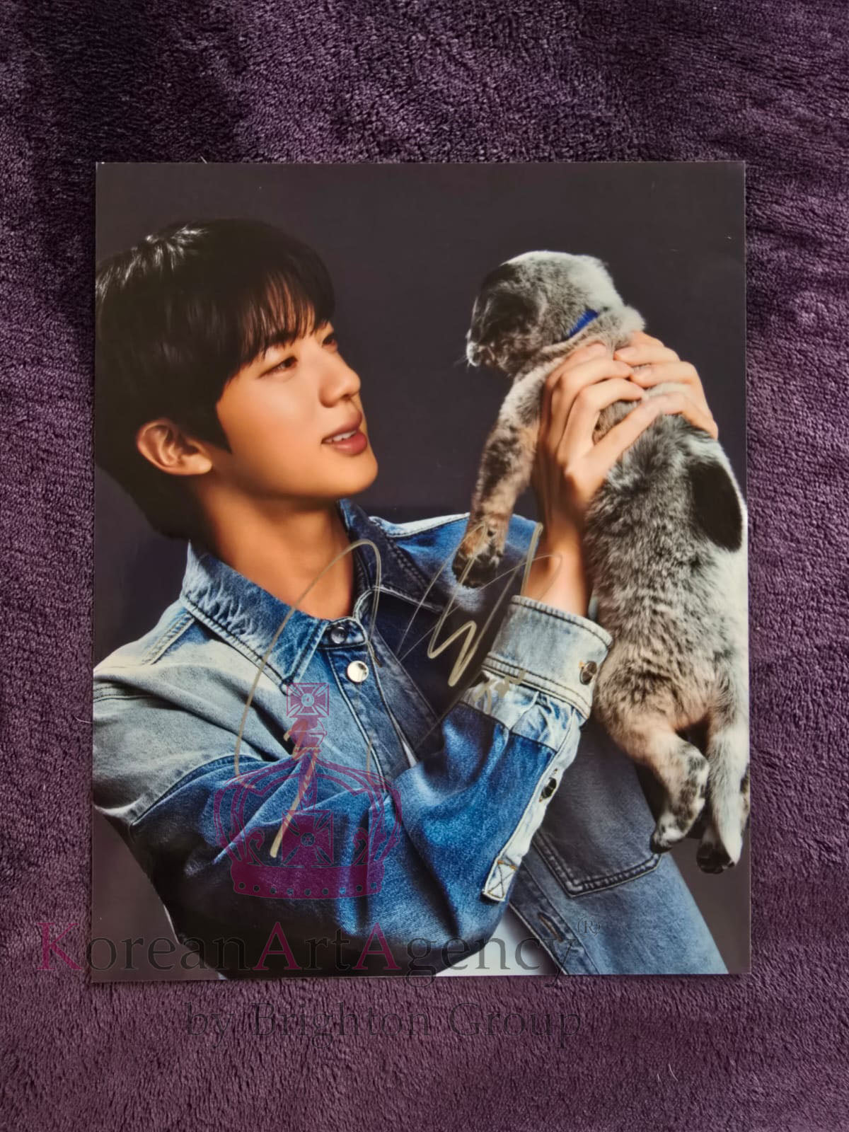 BTS Jin 10 Inches Autograph  Jin: The Puppy Interview Edition