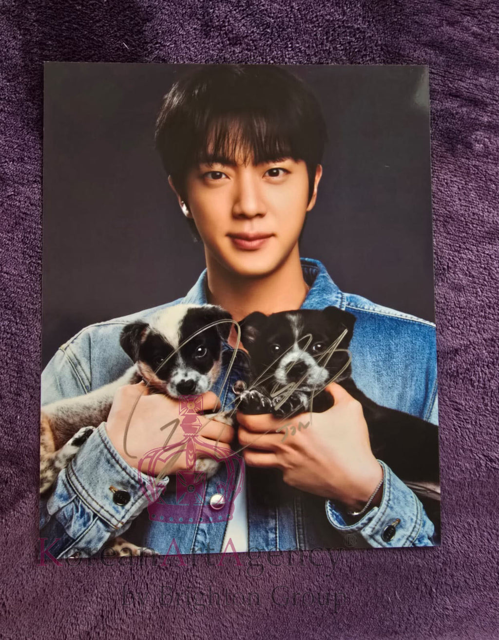 BTS Jin 10 Inches Autograph Jin: The Puppy Interview Edition – Autograph
