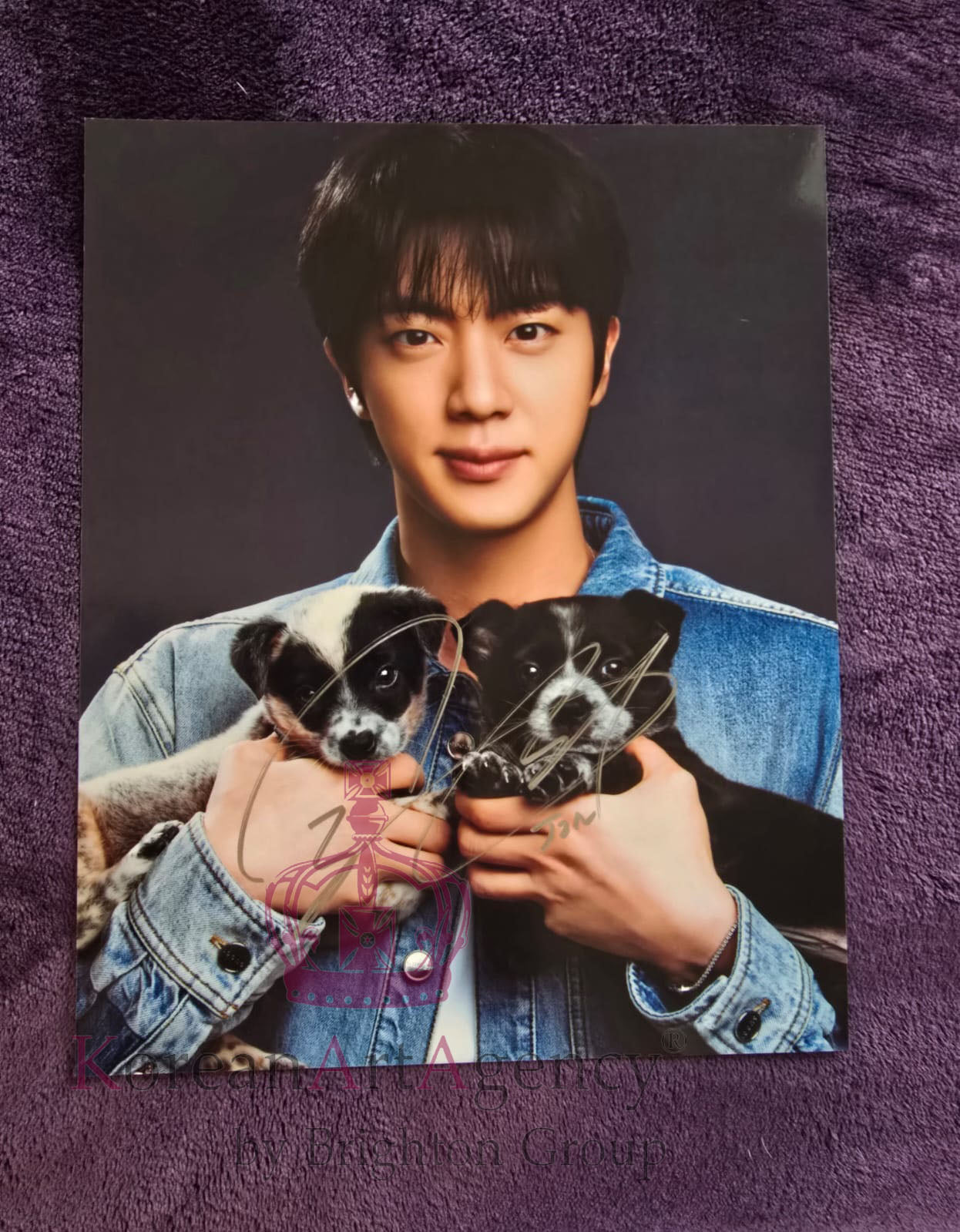 BTS Jin 10 Inches Autograph  Jin: The Puppy Interview Edition