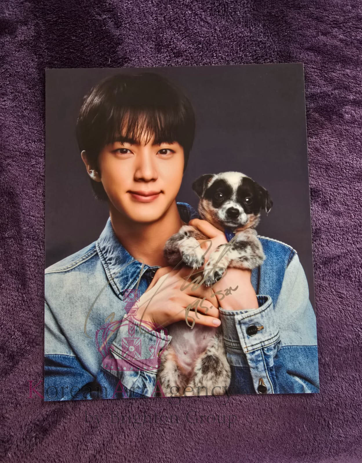 BTS Jin 10 Inches Autograph  Jin: The Puppy Interview Edition