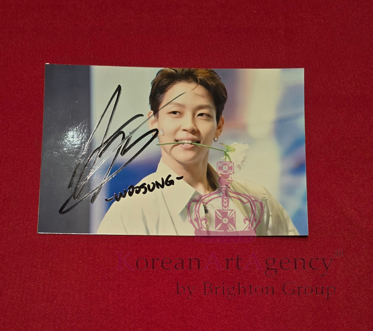 Woosung (The Rose) 7" Autograph Photo | K-Band Signed Collectible