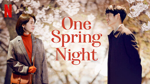 One Spring Night Korean Drama DVD English Subtitled Han Ji Min Jung Hae In Kim Joon Han