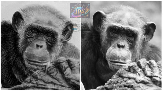 Lae Chimpanzee Lily Artwork (24x22 cm)