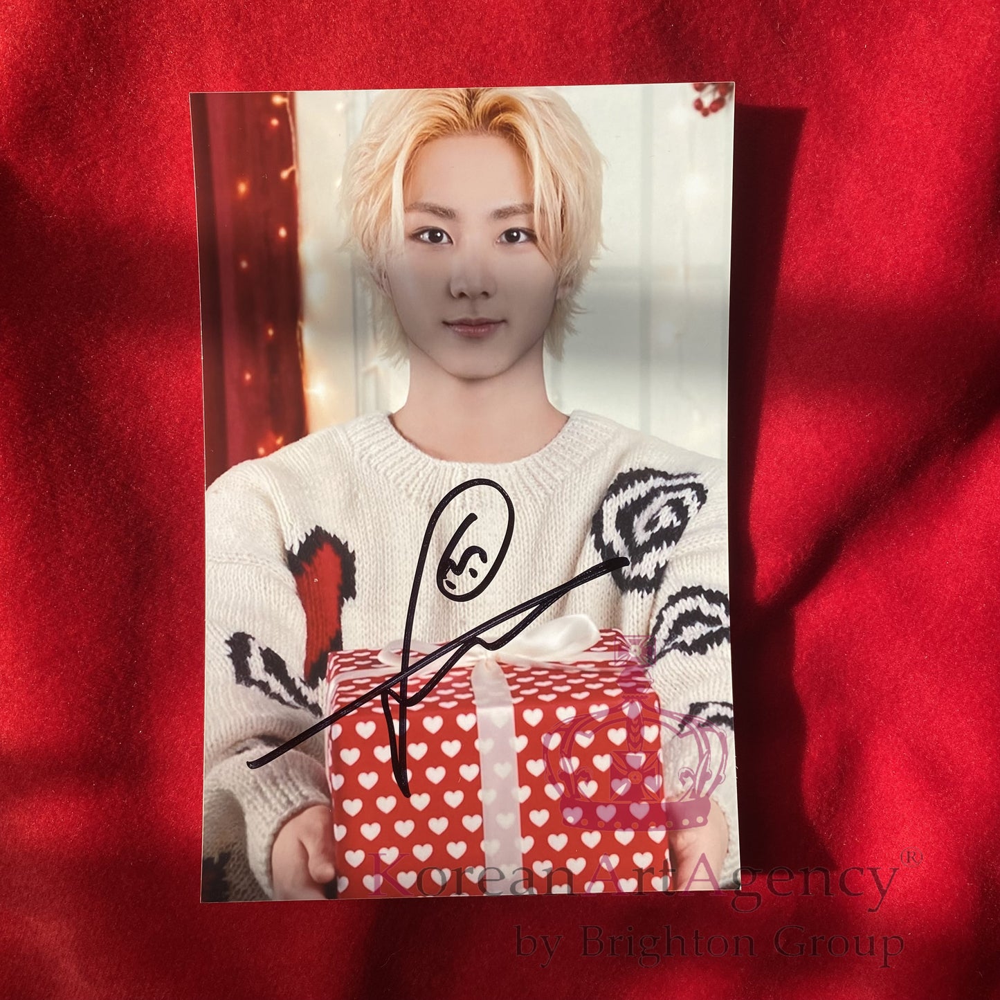 ENHYPEN Set of 7pcs Photocard With Autograph – Jungwon Heeseung Jay  Jake Sunghoon Sunoo Ni-ki – Holiday K-Pop Photo Cards