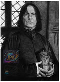 Harry Potter Professor Severus Snape Artwork 30x20 cm